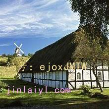 ɹ