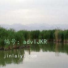 ̫